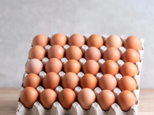 Fresh Eggs - pack