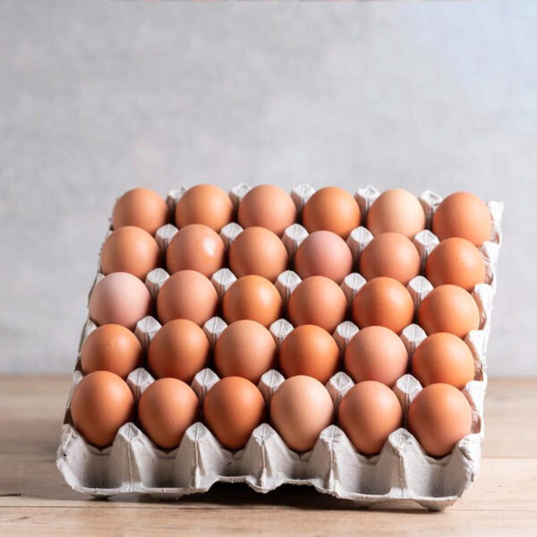 Egg Tray Fresh Eggs - pack